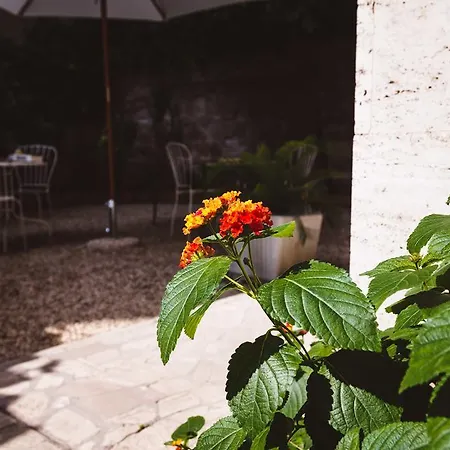 Relais Circo Massimo Pensionat Rom