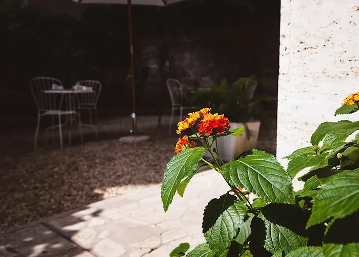 招待所 Relais Circo Massimo 罗马